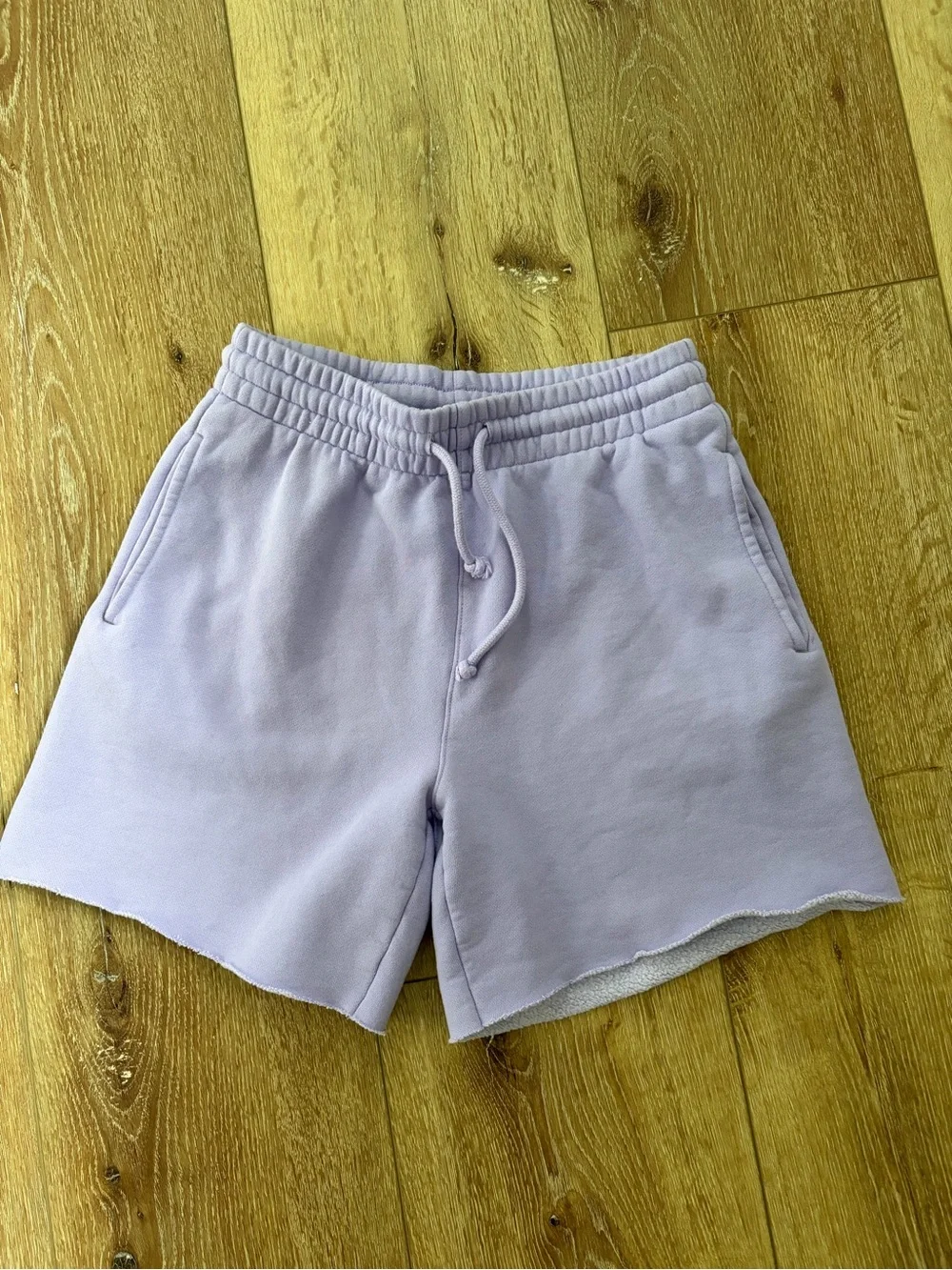 Lilac Aritzia TNA sweat shorts